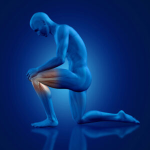 Medical illustration of a person kneeling and holding a painful knee with highlighted muscles and joint structures, representing recovery and rehabilitation after knee arthroplasty surgery.