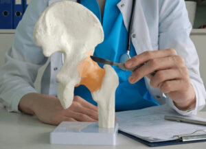 Doctor pointing to a hip joint model during a pre-surgical consultation about hip arthroplasty surgery and joint replacement preparation.