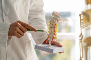 Spine specialist explaining artificial disc replacement surgery using a spinal model during consultation